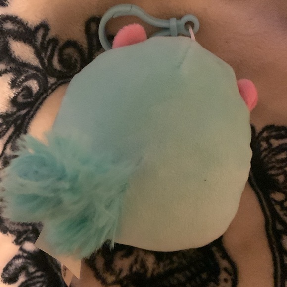 Serene the squirrel (teal nose) squishmallow clip NWT - Picture 4 of 5
